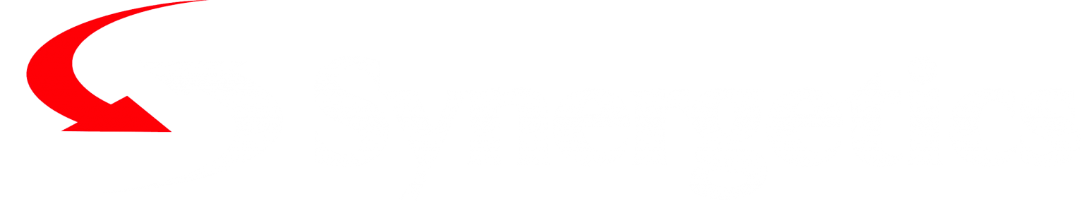 Global Management Consulting Firm | Synergetics