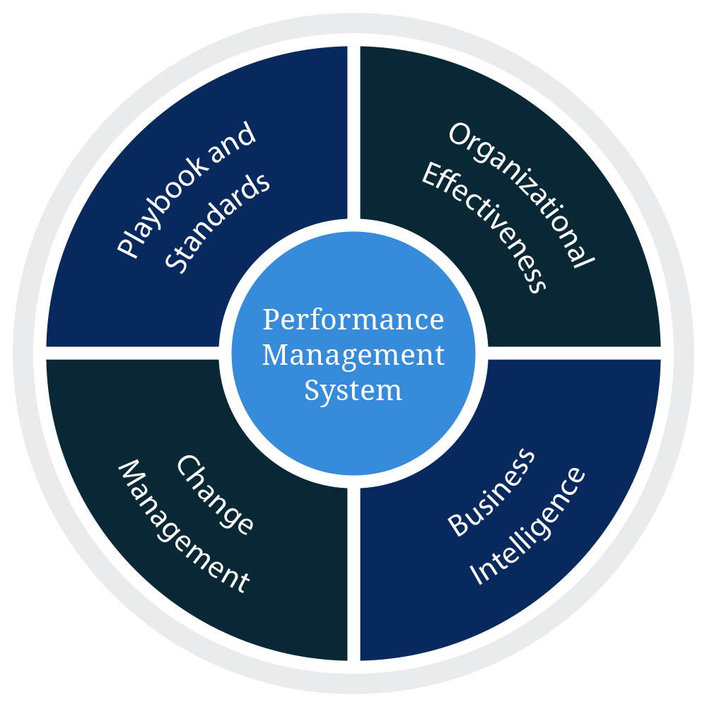 Performance Management System | Synergetics